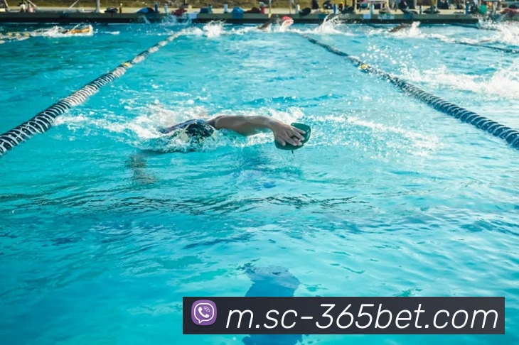 365bet平台生态图